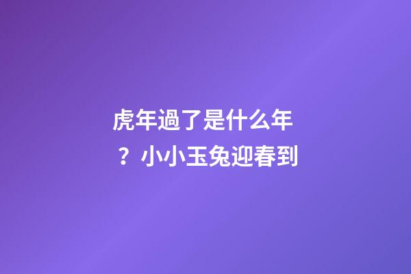 虎年過了是什么年？小小玉兔迎春到